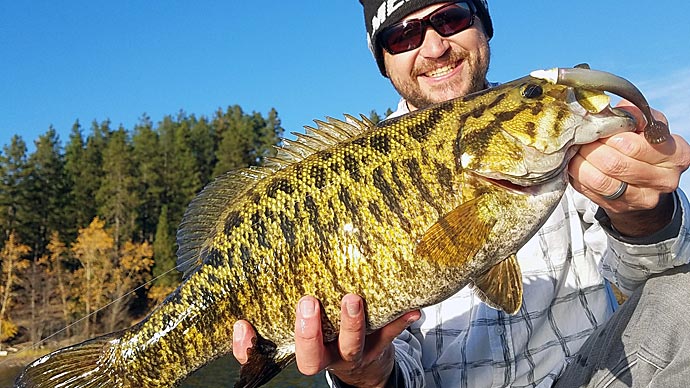 Fishing Lake Coeur d'Alene, Idaho  The Ultimate Bass Fishing Resource  Guide® LLC