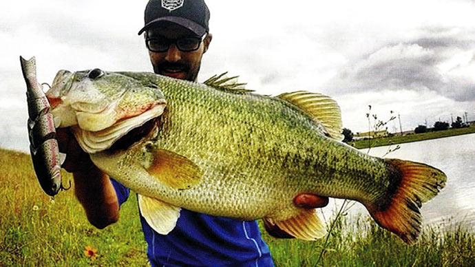 Growing Trophy Largemouth  The Ultimate Bass Fishing Resource