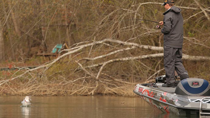 shimano 10 foot carp rods Rod Tribal TX-Ultra A