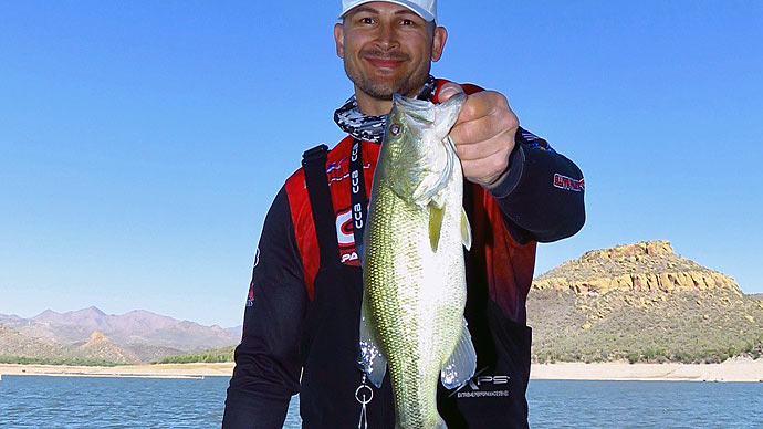 Misconceptions About Bass  The Ultimate Bass Fishing Resource