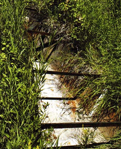 A Parshall Flume in a stream, used to measure water flow and extrapolate volume.