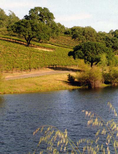 Beautiful setting. Can that agricultural land, that vineyard, affect your lake? How?