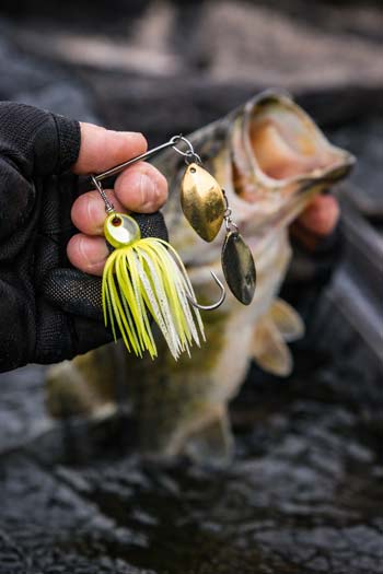 Spinnerbait
