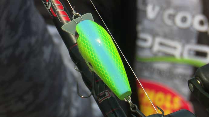 Bank Fishing Crankbaits
