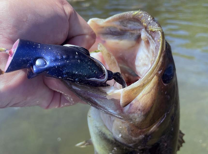 Bass fishing