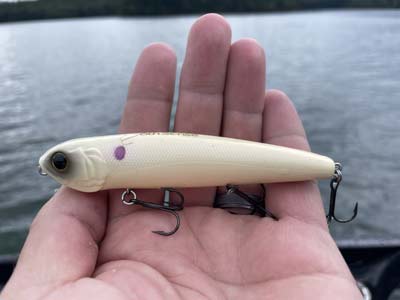If you could only bring one topwater bait, a walking topwater in a bone color would be a great choice. It works everywhere and is a great lure to fish in August.