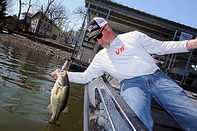Roger Fitzpatrick works suspending jerkbaits over shallow brush to catch early spring bass.