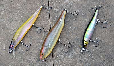 Finesse baits are good for early summer smallmouth. Ned rigs, drop shots, jig and minnows, and tube baits are top choices. Photo by Pete M. Anderson