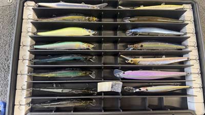 Lure-specific tackle boxes, like those from Evolution Outdoors, keep your lures neat and organized.