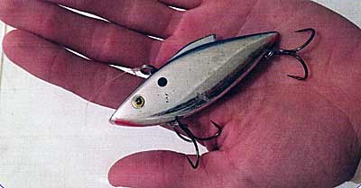 This rattletrap, a lipless crankbait, makes noise and falls quickly. I'll pull it up, let it drop, then do that repeatedly to resemble an injured baitfish.