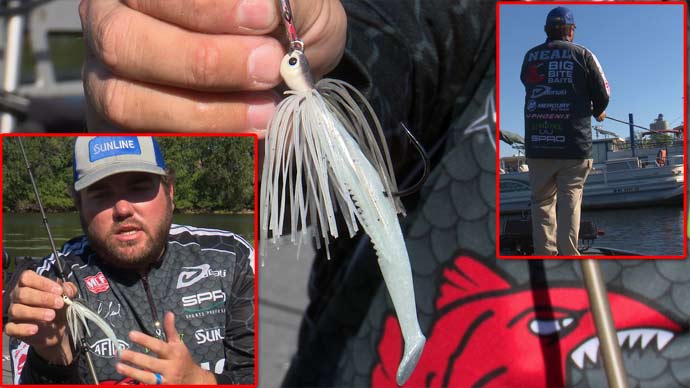 How To Fish A Chatterbait In The Fall with Michael Neal, Video