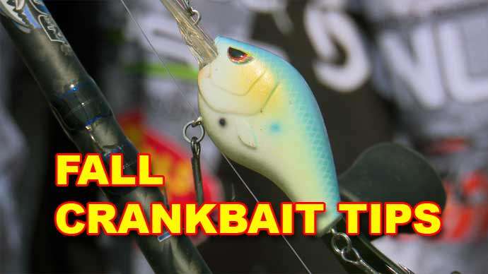 Bass Fishing