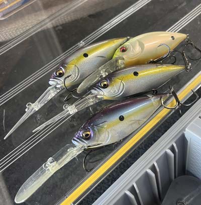 A trusty deep diving crankbait in a shad pattern is an excellent way to catch bass this autumn.