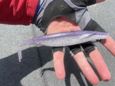 Large soft jerkbaits, when fished weedless or on a jighead, have tremendous drawing power and will get fish from further distances interested in taking a closer look.