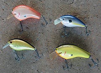 Square bills in various sizes and colors produce bass for Bassmaster Elite Series pro Brian Snowden during fall.
