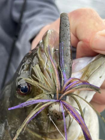 A finesse jig is a perfect way to imitate a crawfish scurrying along the bottom.
