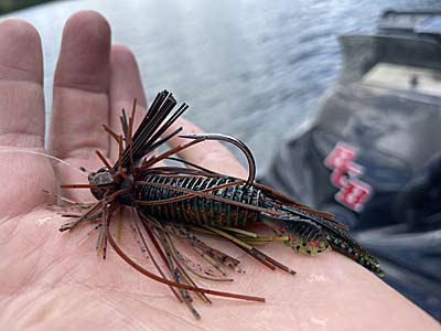 Finesse jigs are great for fishing around rocks and offering bite-sized fish offerings.