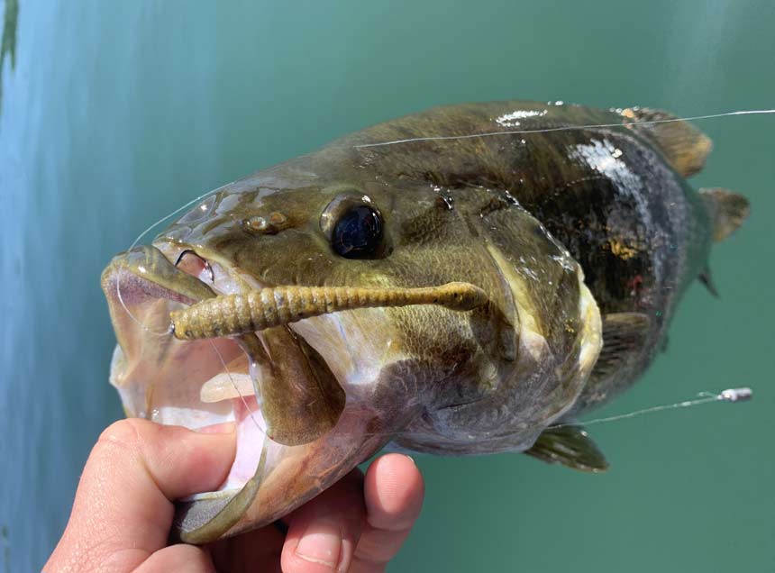 Bass fishing