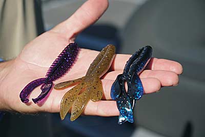 Guide to Soft Plastic Lures: Choosing and Using Grubs, Minnows and Other Creatures for Bass [Book]