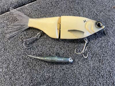 Large swimbaits and glide baits are much bigger than traditional lures and stand out when the bass are not accustomed to seeing them.