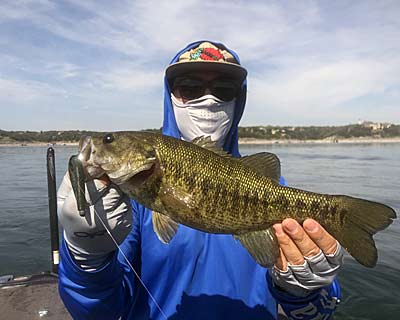 Although they don't get huge, Guadalupe bass are fun to catch and can be aggressive as they attack your lures.
