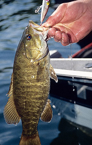 Most pros immediately replace the stock hooks found on new lures with higher quality models.