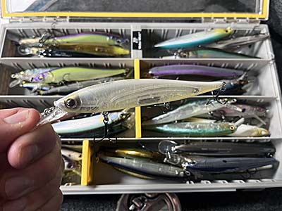 Jerkbaits are effective lures for January bass fishing, and solid colors are great for stained water and overcast conditions.