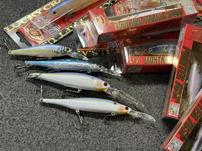 It's hard to beat a jerkbait when trying to imitate a dying baitfish, and they are lures that anyone can use to catch bass in November.