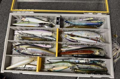 Jerkbaits come in all shapes and sizes, but deeper diving baits are the way to go in January. 