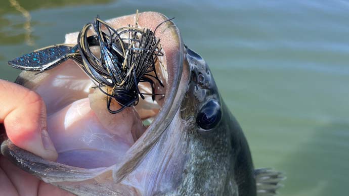 advanced fish lure 6th Sense Flat Finesse F4 Crankbait