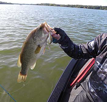 Big fish can indeed be caught on crankbaits late in the season.