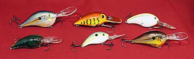 Fall crankbait fishing