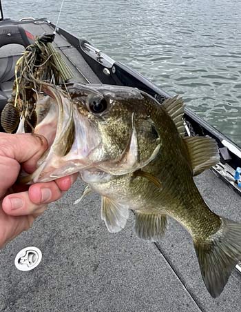 A jig is hard to beat during the postspawn period, especially when matched with an aggressively flapping soft plastic trailer.