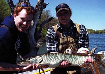 Toothy Tiger muskies are definitely carnivorous.