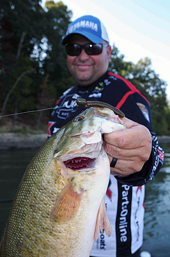 Bill Lowen relies on a Ned rig for casting to smallmouth bass in the shallows or for a vertical presentation to deeper fish he spots on his electronics.
