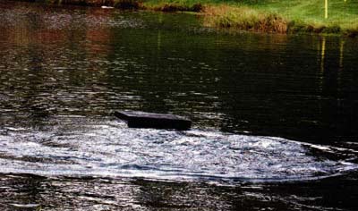 Moving water during the warm months can expedite its natural cleansing mechanisms and set the stage for a safe winter and good ice fishing.