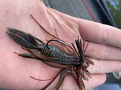 A jig works all year long, and this month is no exception. They imitate a variety of forage and should be on your deck year-round.