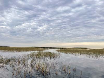 Lake Okeechobee is a dream bass fishing destination, with endless amounts of vegetation, bass, alligators, and more.