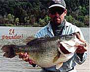 Catching big bass