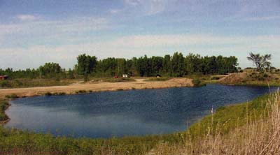 If a small pond has healthy water and good habitat, it can support a small population of catchable fish without much management. Not recommended, but works.