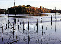 Winter pond maintenance