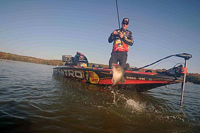 Using lures that cover water quickly is the key to finding prespawn bass in transition.