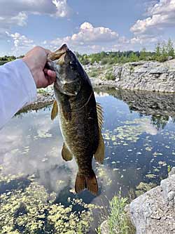Quarry And Pond Fishing Tips  The Ultimate Bass Fishing Resource Guide® LLC