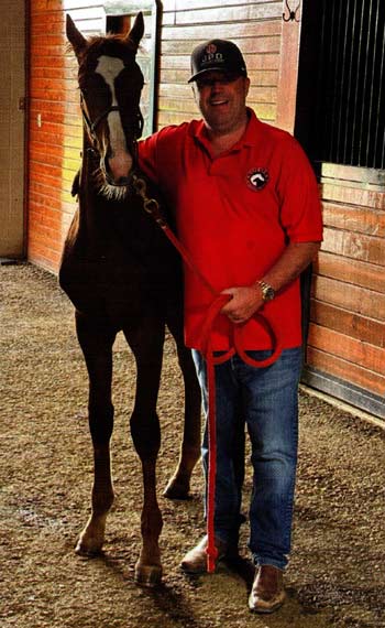 Mark Corser with one of his thoroughbred colts.