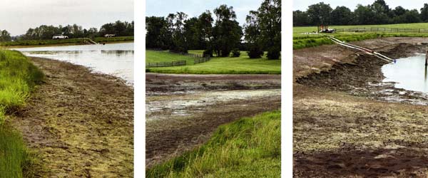 Left to right: Pumps were set up to de-water the ponds quickly. Too much shallow water will influence how he rebuilds his ponds. The upper reaches of one of the ponds. Too much shallow water. As the water receded, silt began to migrate downward. Mark had to decide what to do with the silt.
