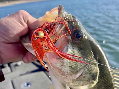 A red-colored bait is a prespawn classic and works every year.