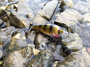 custom made fishing lures Personalized Fishing Lures