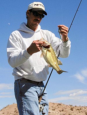 Flipping a Senko to the tules is how Mike Baldwin caught this bass at Havasu.