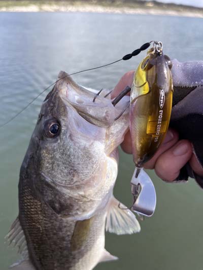 Plopping-style topwaters are excellent for fishing fast, covering water, and triggering explosive reaction strikes.
