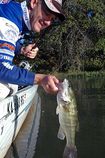 Kansas pro Brent Chapman favors a plastic frog over a buzz bait for running over the weed mats in autumn.